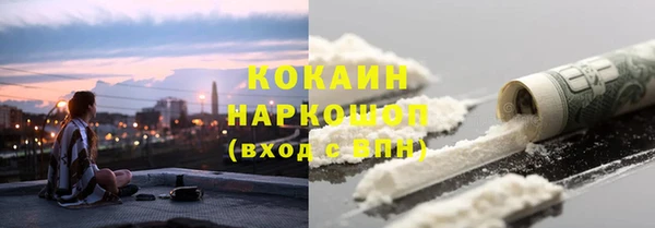 прущий лед Шали