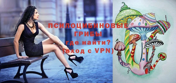 не бодяженный Шадринск
