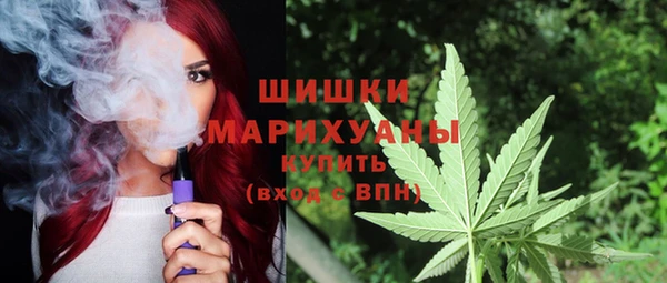 не бодяженный Шадринск