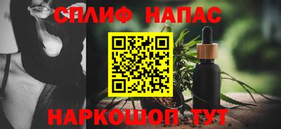 сатива Гай