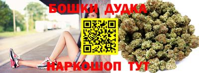 сатива Гай