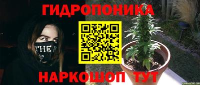 наркотики Гагарин