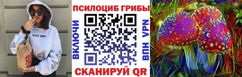 Псилоцибиновые грибы мицелий  Дзержинск 