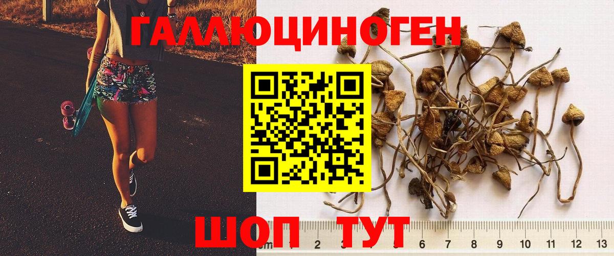 Псилоцибиновые грибы ЛСД  Вход с VPN  Дзержинск 