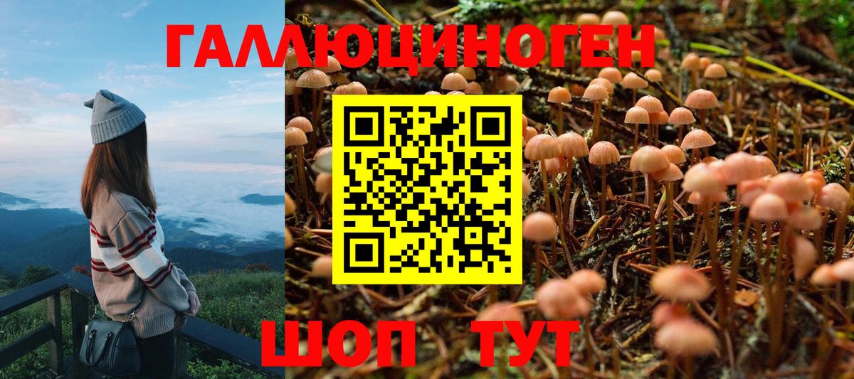 Галлюциногенные грибы мухоморы Дзержинск